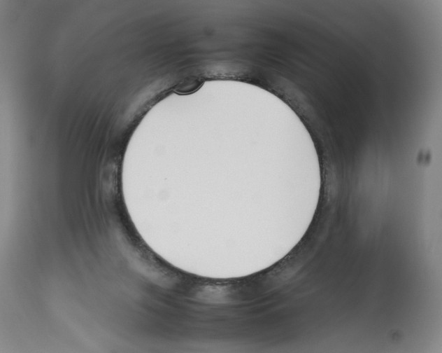 X0000112470071200909281056