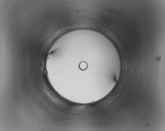 X0000112470072200909281056