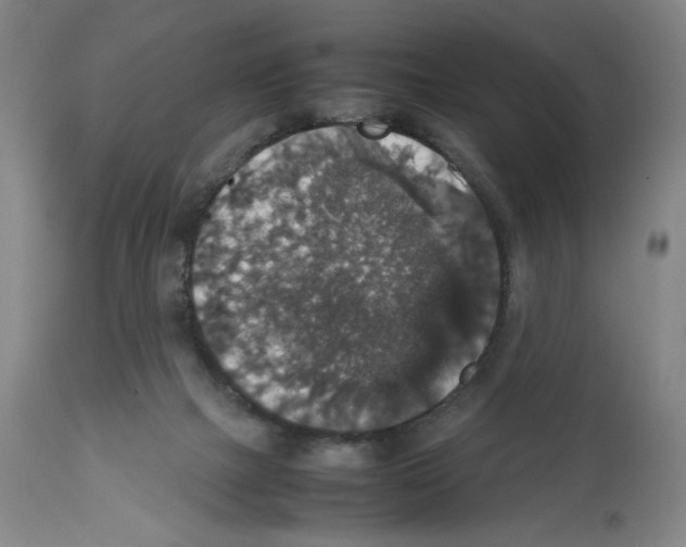 X0000112470073200909281056
