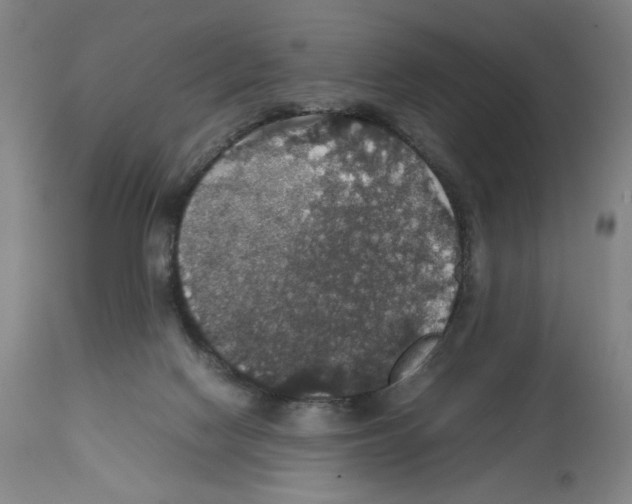 X0000112470074200909281056