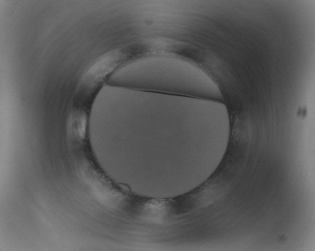 X0000112470076200909281056
