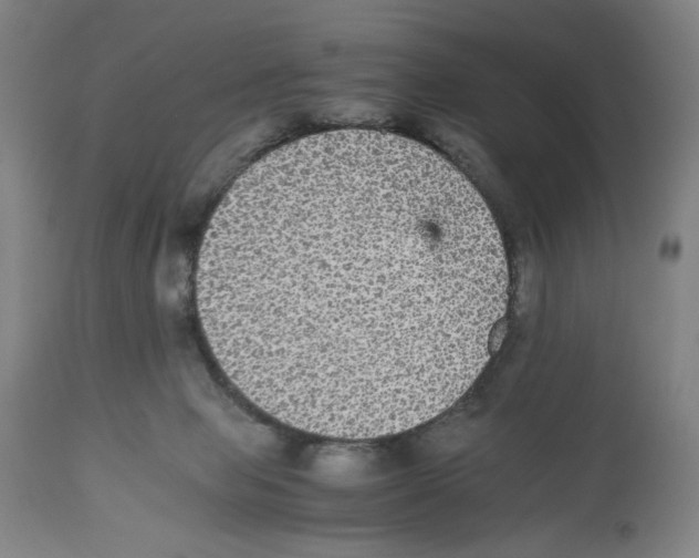 X0000112470077200909281056
