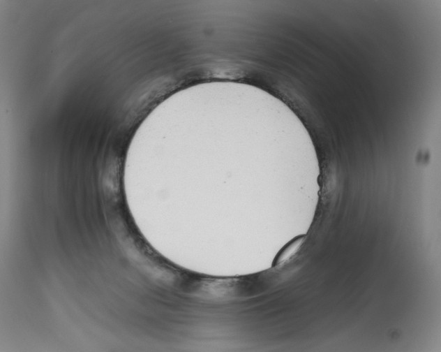 X0000112470078200909281056