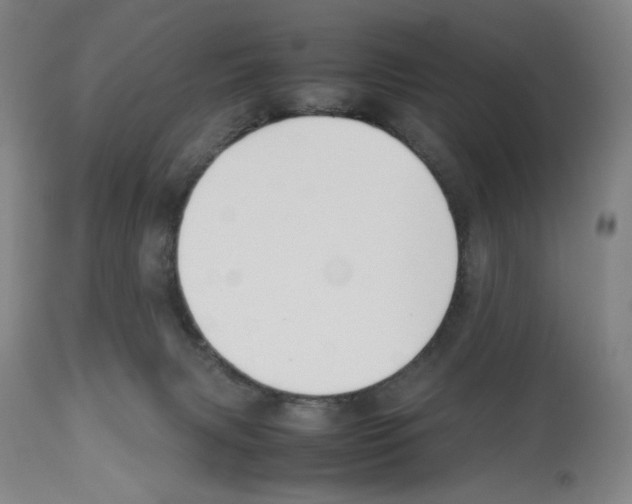 X0000112470079200909281056