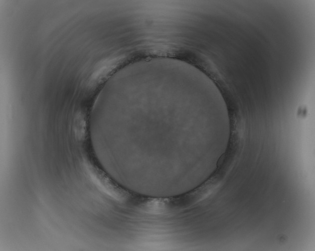 X0000112470080200909281056