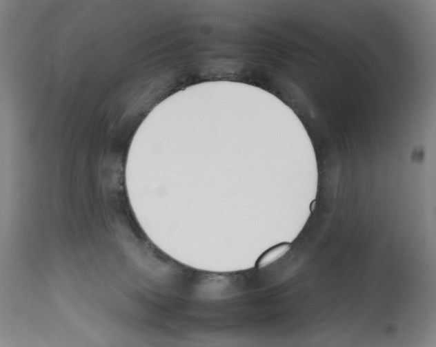 X0000112470083200909281056