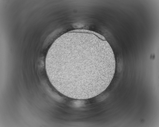 X0000112470085200909281056