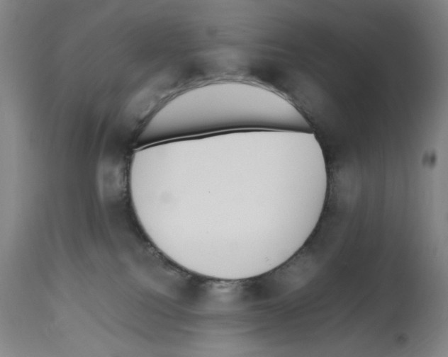 X0000112470088200909281056