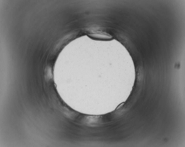X0000112470089200909281056