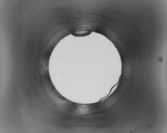 X0000112470091200909281056