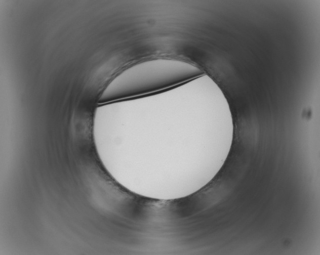 X0000112470092200909281056