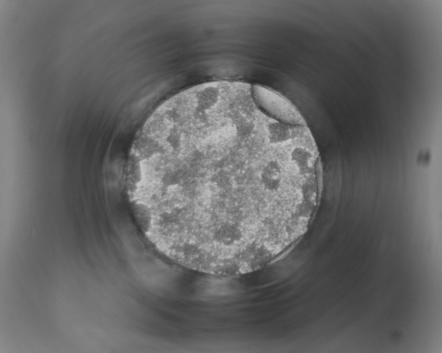 X0000112470093200909281056