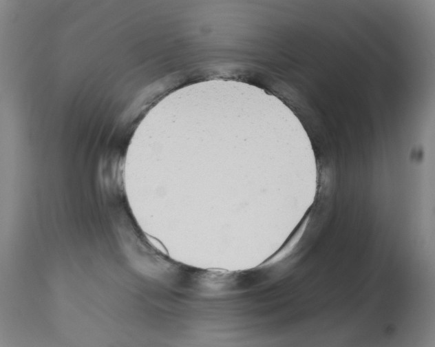 X0000112470094200909281056