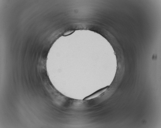 X0000112470096200909281056