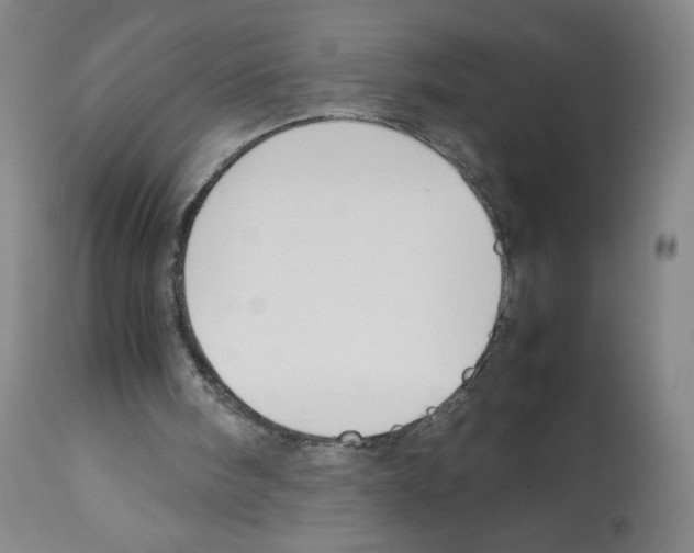 X0000112470098200909281055