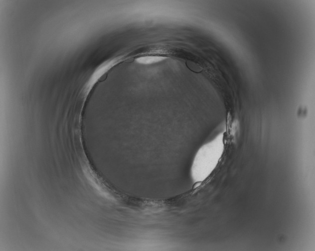 X0000112470099200909281055