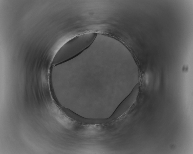 X0000112470100200909281055