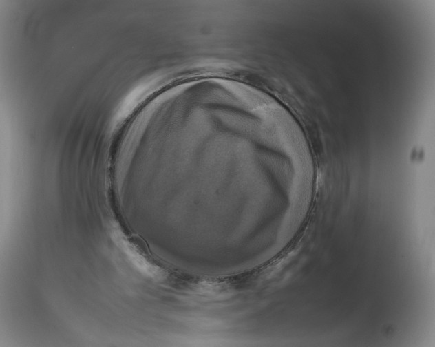 X0000112470101200909281055
