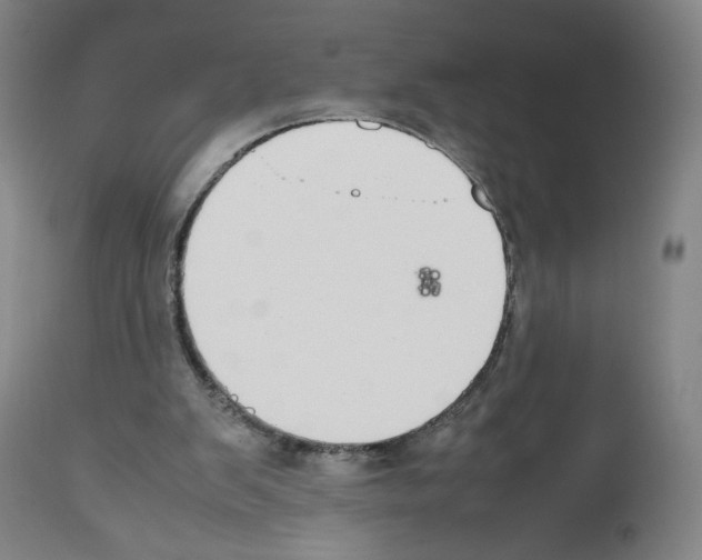 X0000112470103200909281055