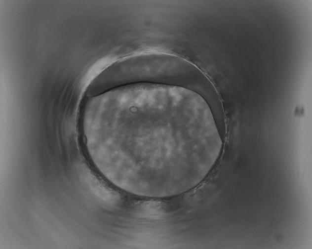 X0000112470104200909281055