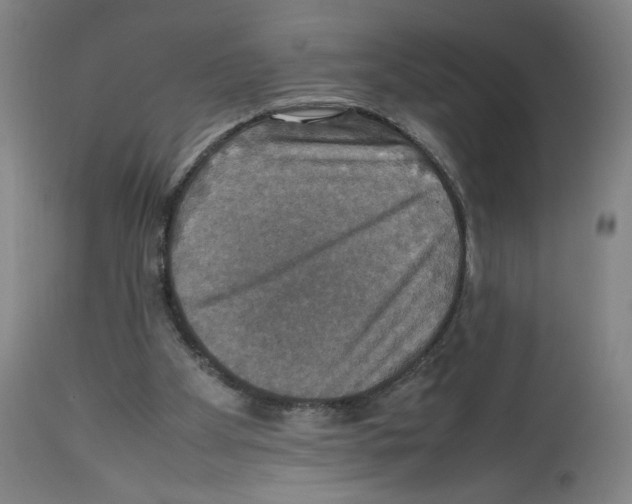 X0000112470105200909281055