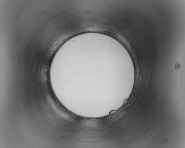 X0000112470106200909281055