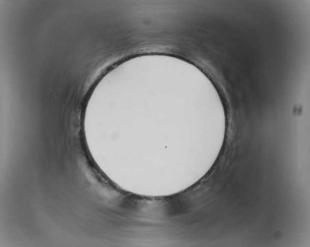 X0000112470107200909281055