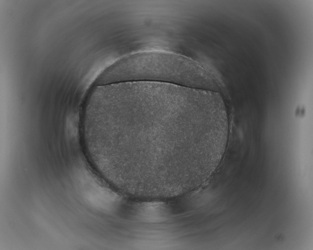 X0000112470108200909281055