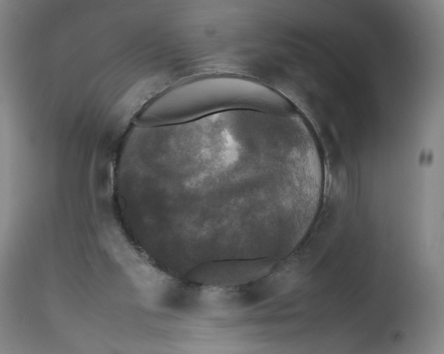 X0000112470109200909281055