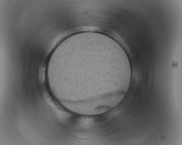 X0000112470110200909281055