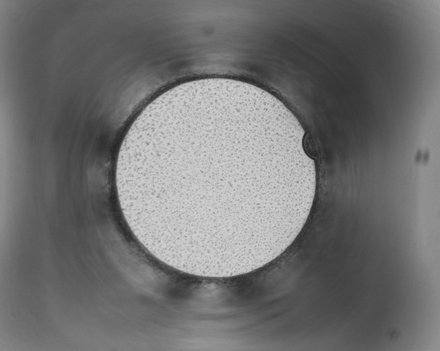 X0000112470111200909281055