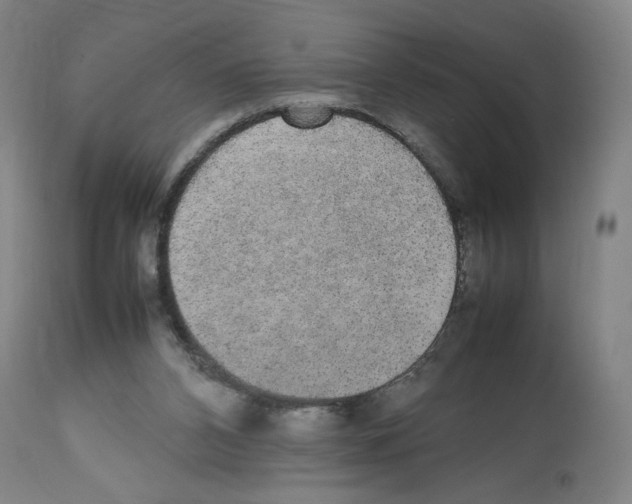X0000112470112200909281055