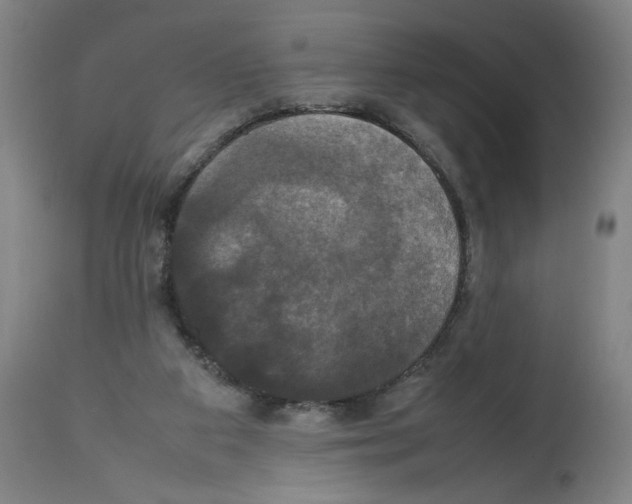 X0000112470113200909281055