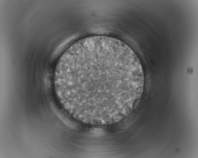 X0000112470114200909281055