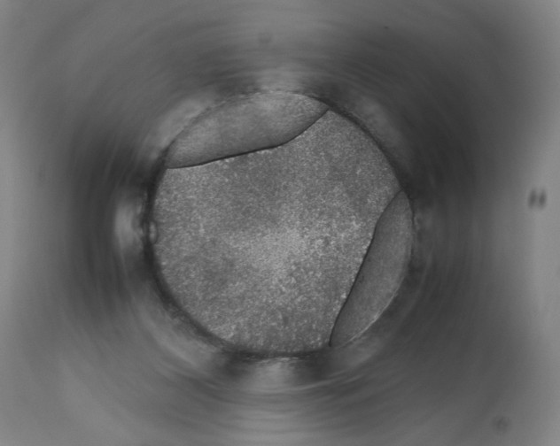 X0000112470116200909281055