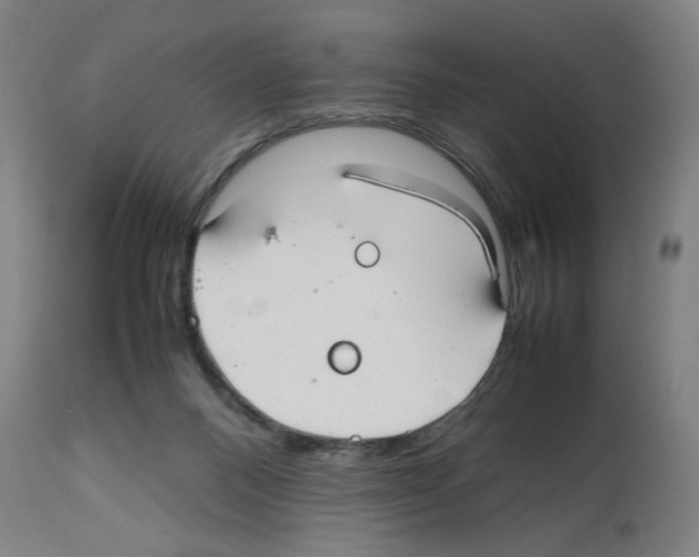 X0000112470120200909281055