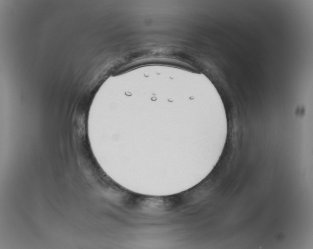 X0000112470123200909281055