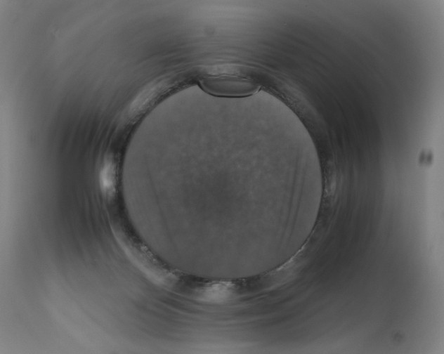 X0000112470124200909281055