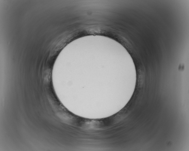 X0000112470125200909281055