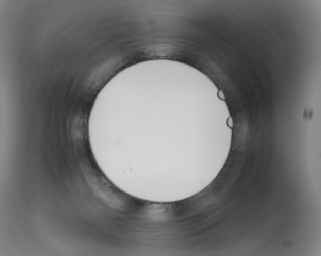 X0000112470126200909281055