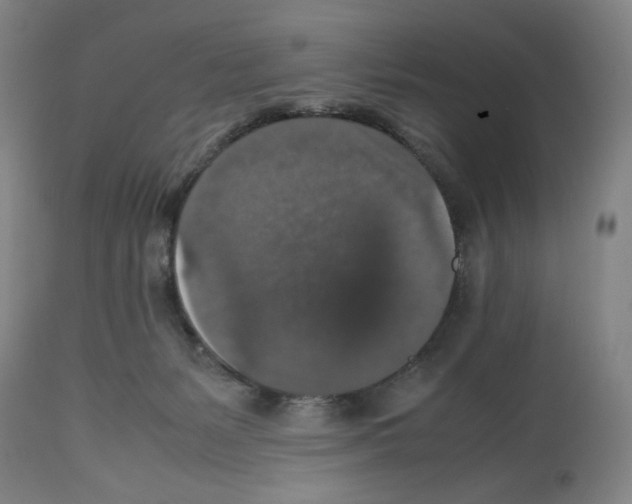 X0000112470127200909281055