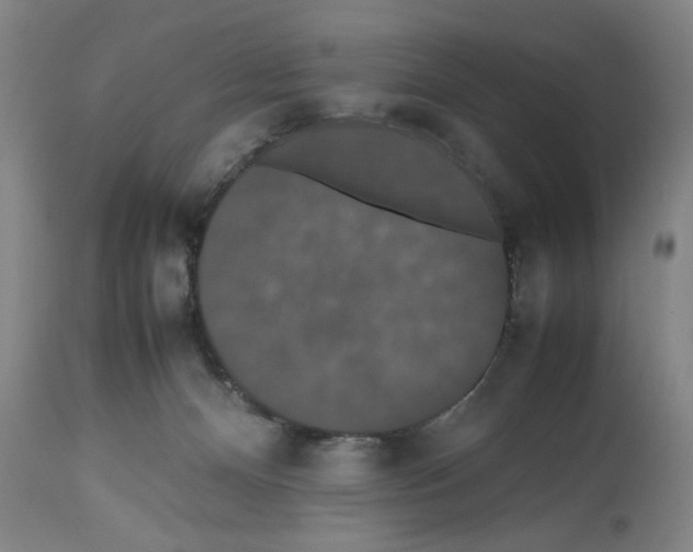 X0000112470128200909281055