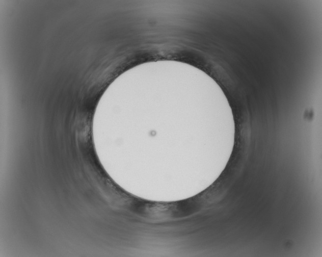 X0000112470129200909281055