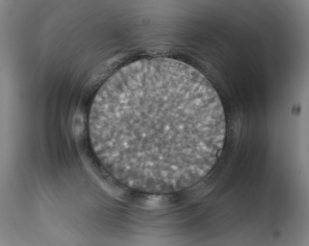 X0000112470130200909281055