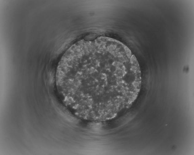 X0000112470131200909281055