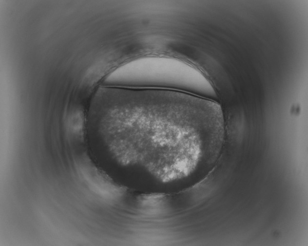 X0000112470132200909281055
