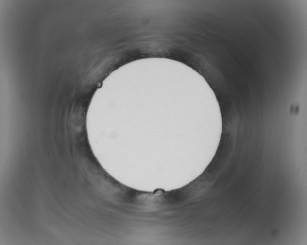 X0000112470133200909281055