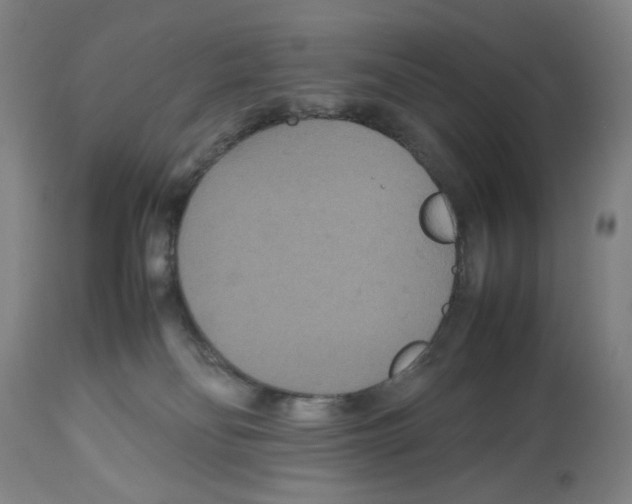 X0000112470134200909281055