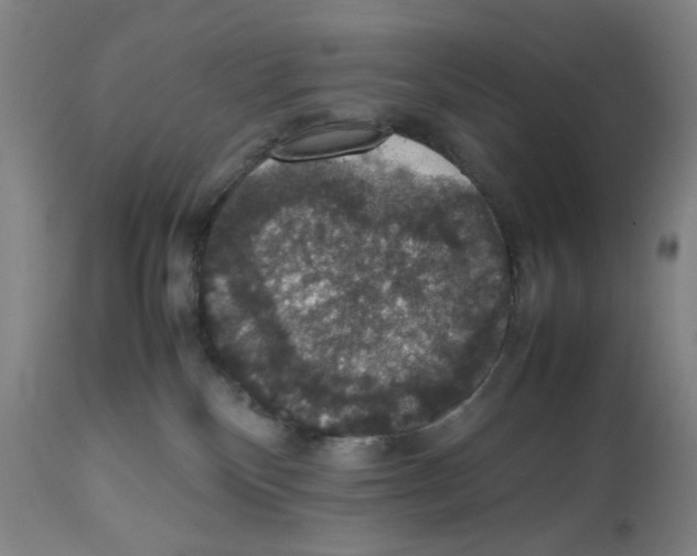 X0000112470136200909281055