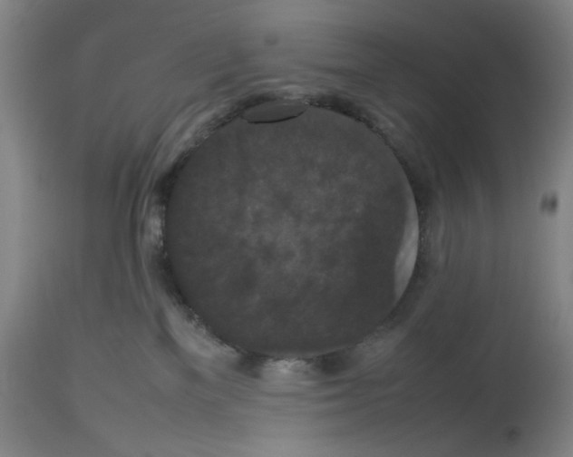X0000112470137200909281055